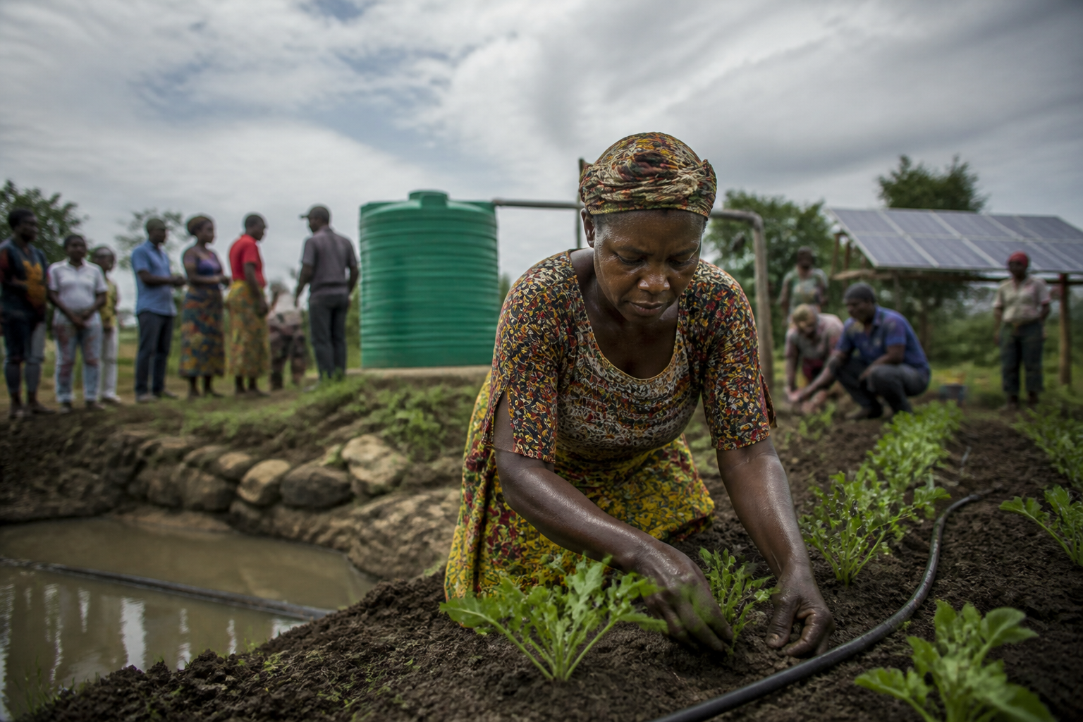 Bridging the Adaptation Gap: What Smallholder Climate Schemes Require to Scale